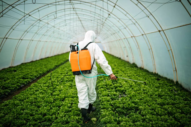 Professional Pest Control in Marksville, LA
