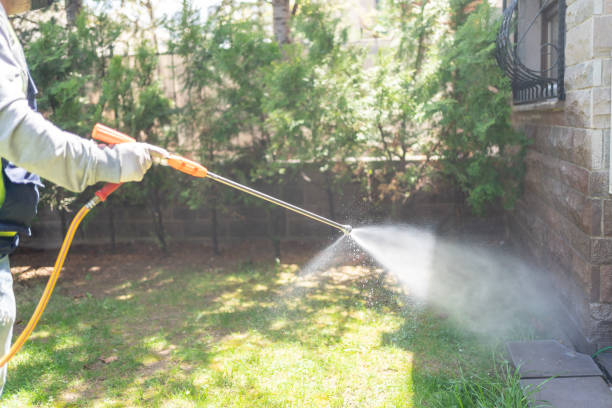 Best Flea Control Services  in Marksville, LA