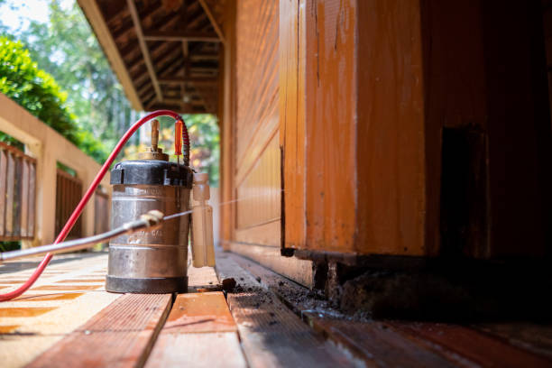 Best Insect Control  in Marksville, LA