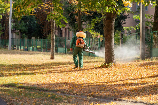 Best Mosquito Control Services  in Marksville, LA